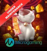 MICRO GAMING